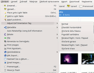 Položka „Adjust Exif Orientation Tag“ Položka „Adjust Exif Orientation Tag“